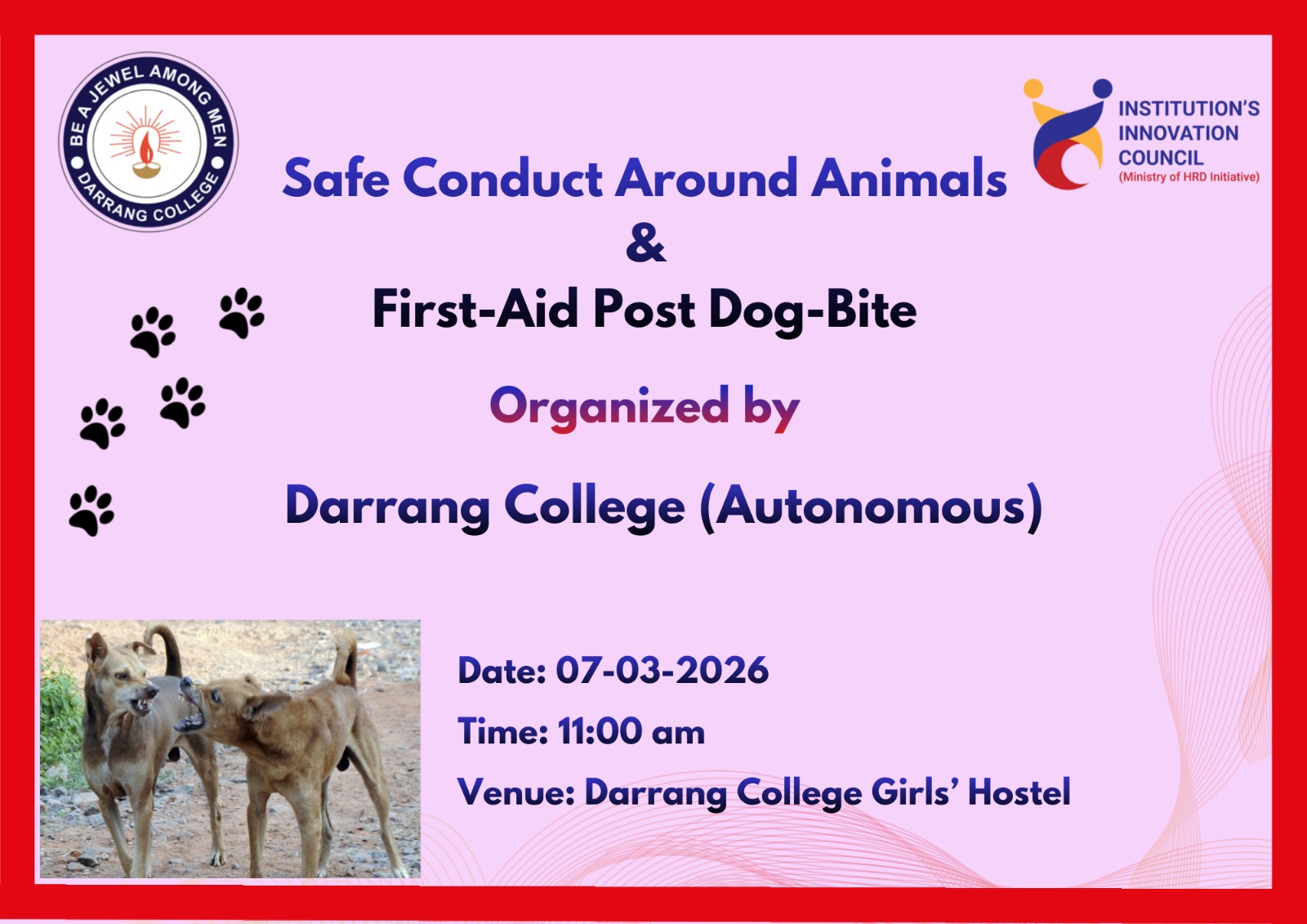 Safe Conduct Around Animals & First-Aid Post Dog Bite